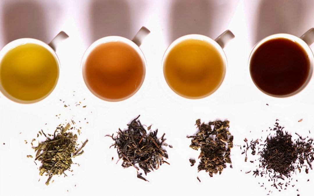 Benefits of Herbal Tea: 10 Healing Herbs You Should Know About