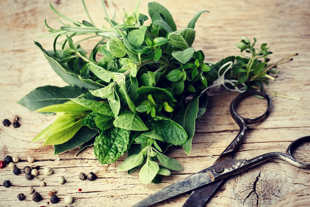 5 Amazing Herbs You Should Add To Your Natural Medicine Cabinet