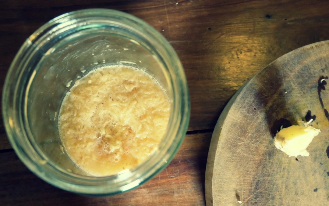 How To Make Ginger Bug For Your Homemade Sodas