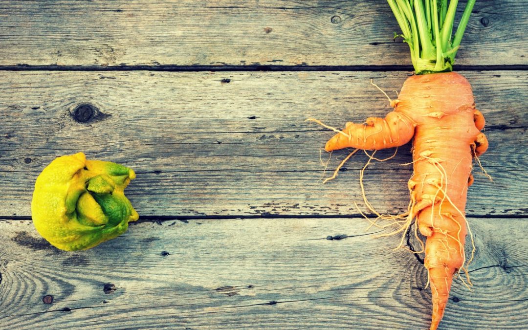 Eating Responsibly: How To Eliminate Food Waste