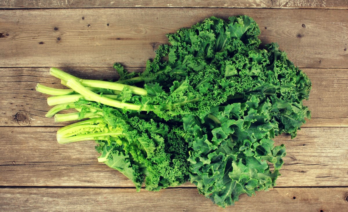 PlantBased Calcium Why It Is Good for You and How to Get It EatLove