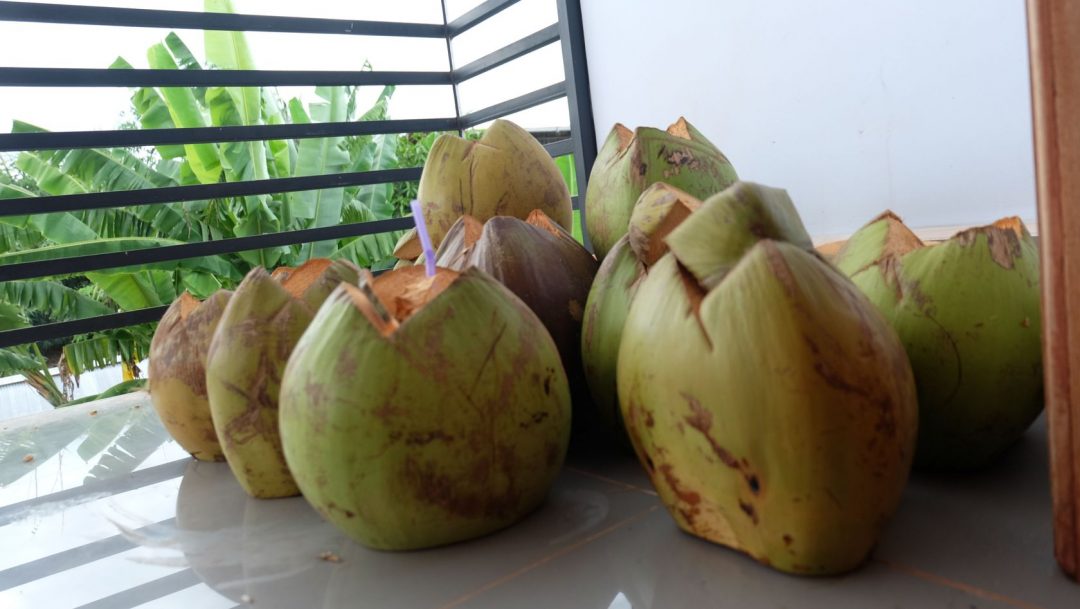 Why You Should Consider a 72hour Coconut Water Fast Too EatLove.Live