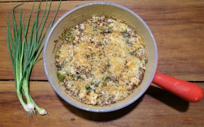 Broccoli Chicken Quinoa Casserole