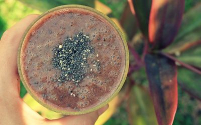 Antioxidant Kiwi Berry Smoothie