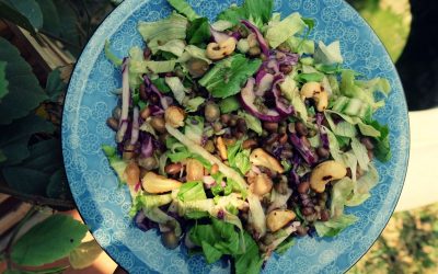 Lentil Pomegranate Salad with Orange Dressing