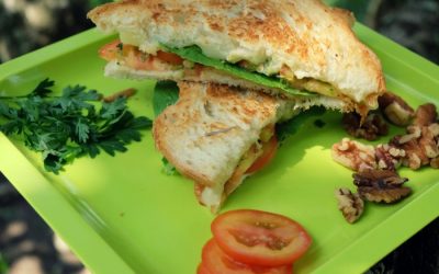 Mozzarella Walnut Pesto Sandwich
