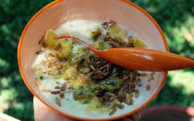 Passion Fruit Yogurt Bowl