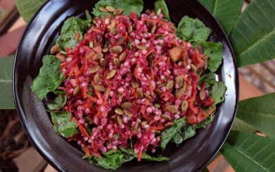 Red Beet Buckwheat Salad with Orange Dressing