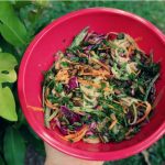 Spiralized Veggies with Pad Thai Sauce