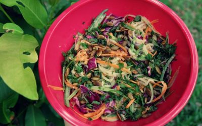Spiralized Veggies with Pad Thai Sauce