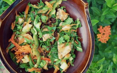 Thai Chicken Salad with Sesame Garlic Dressing