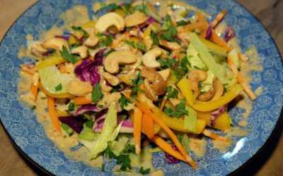 Thai salad with Peanut Sauce
