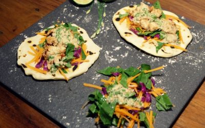 Yogurt Marinated Chicken Tacos with Garlic Sauce