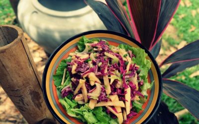 Apple Celery and Red Cabbage Salad