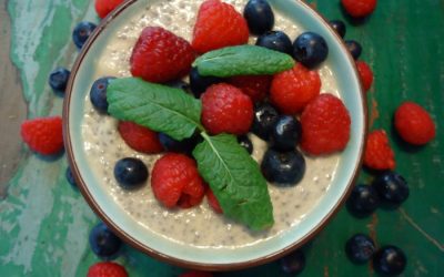 Coconut Flavored Berry Chia Seed Pudding