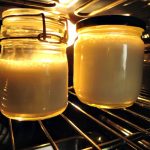 Homemade Cultured Coconut Yogurt