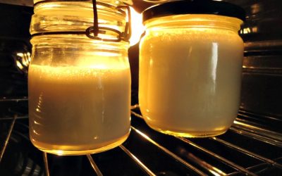 Homemade Cultured Coconut Yogurt
