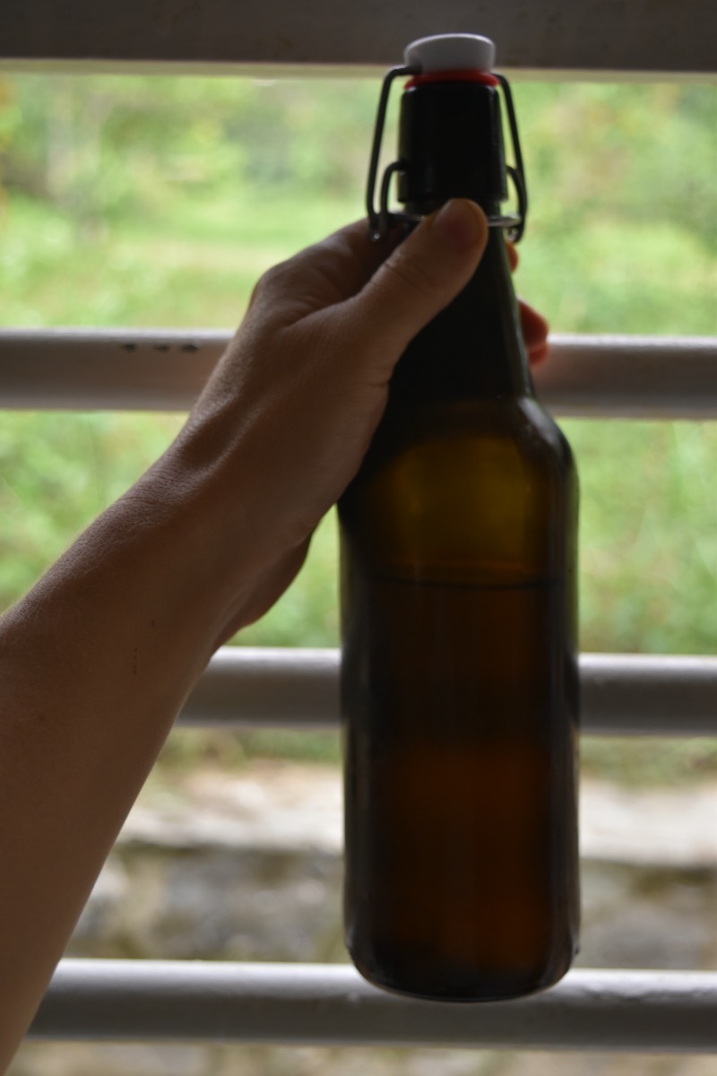 how to make a kombucha scoby
