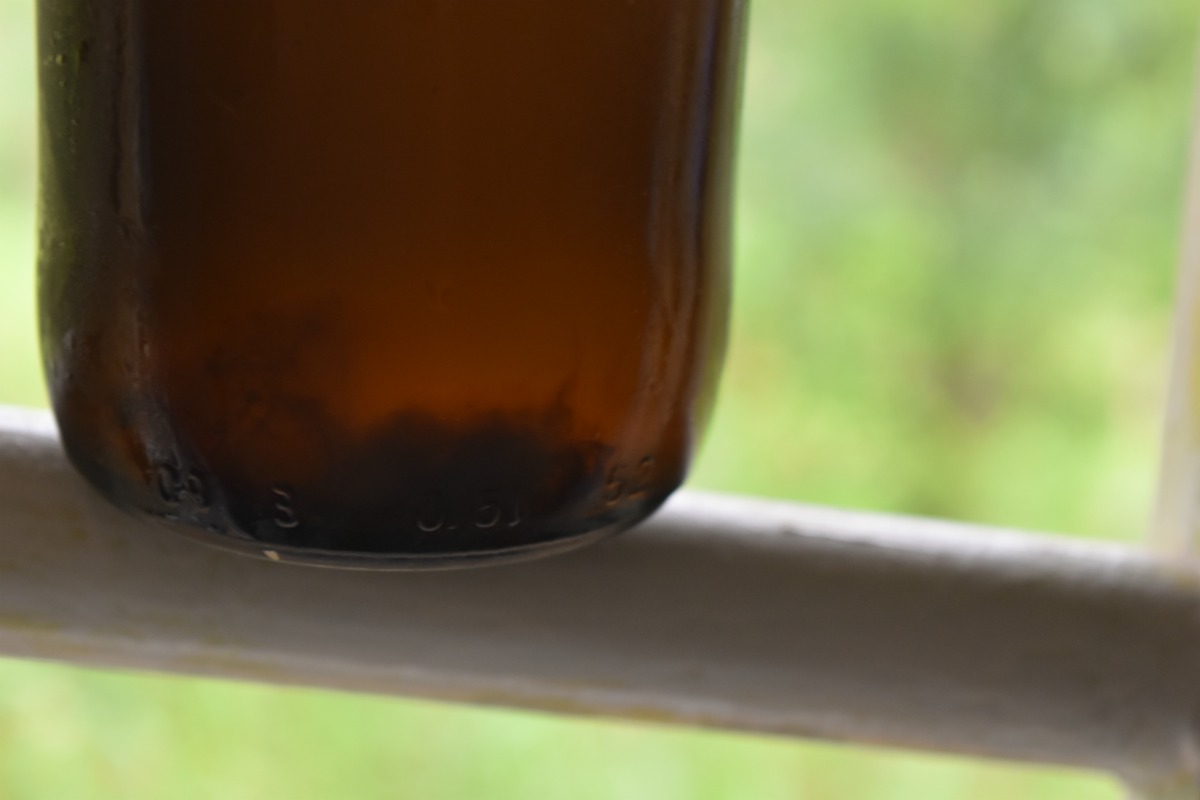 how to make a kombucha scoby