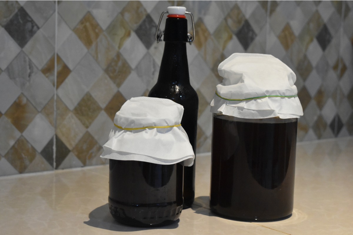 how to make a kombucha scoby