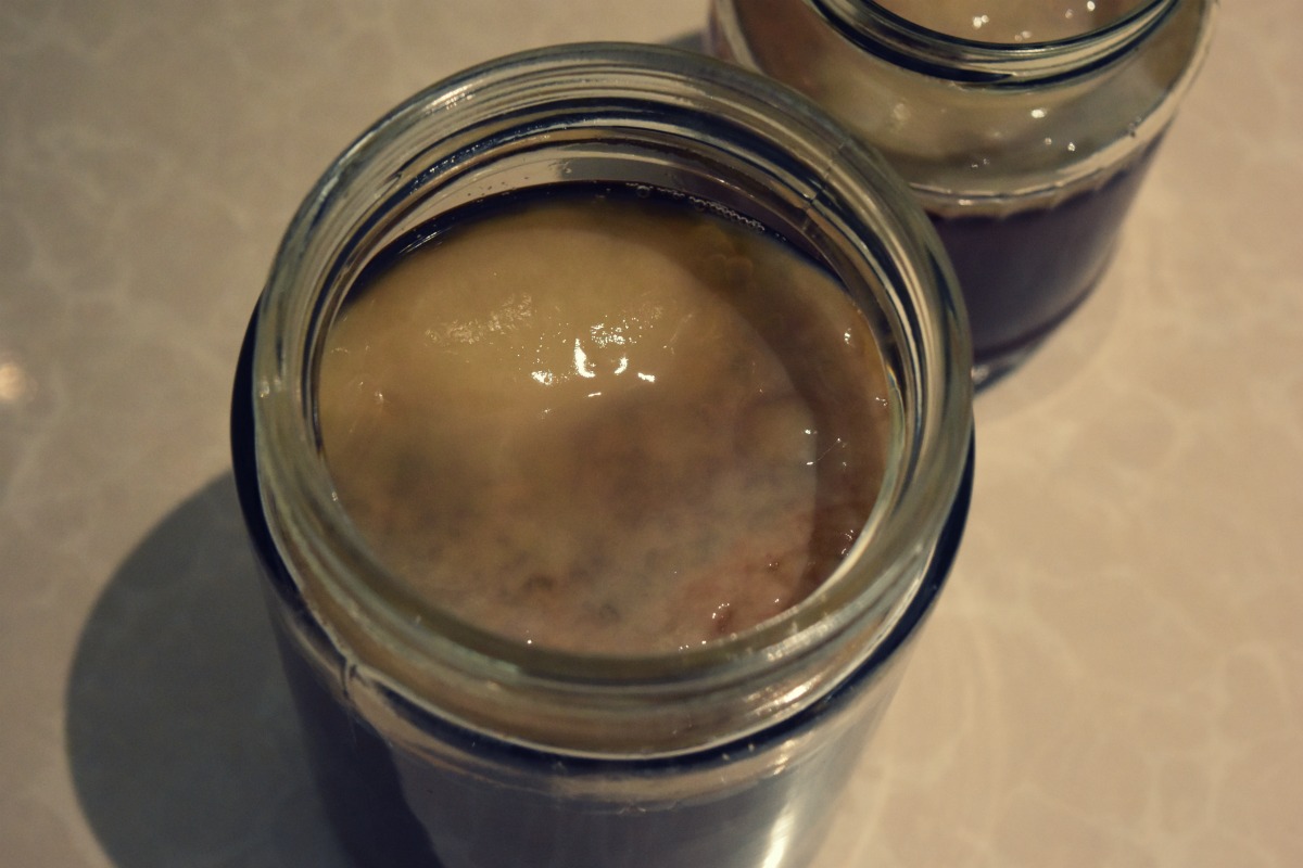 how to make a kombucha scoby