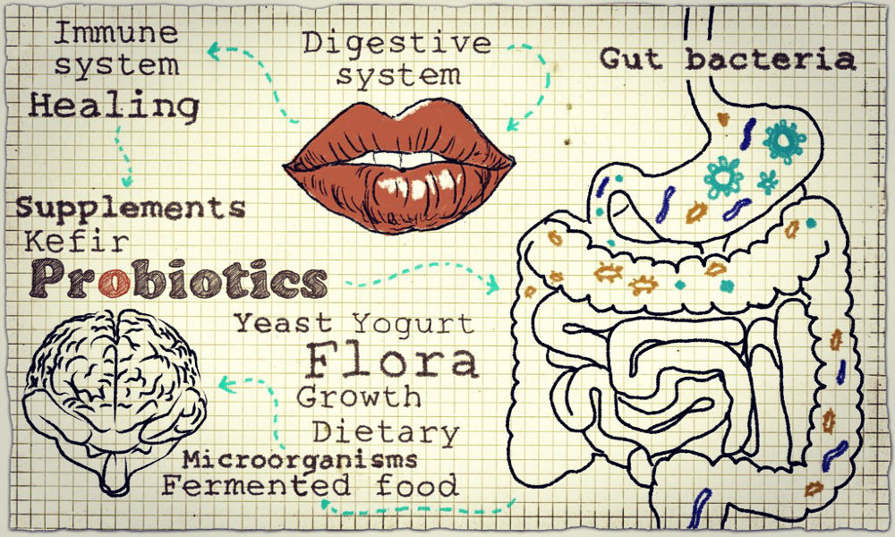Health Benefits of Probiotics – Why You Should Add Probiotics To Your Daily Life!